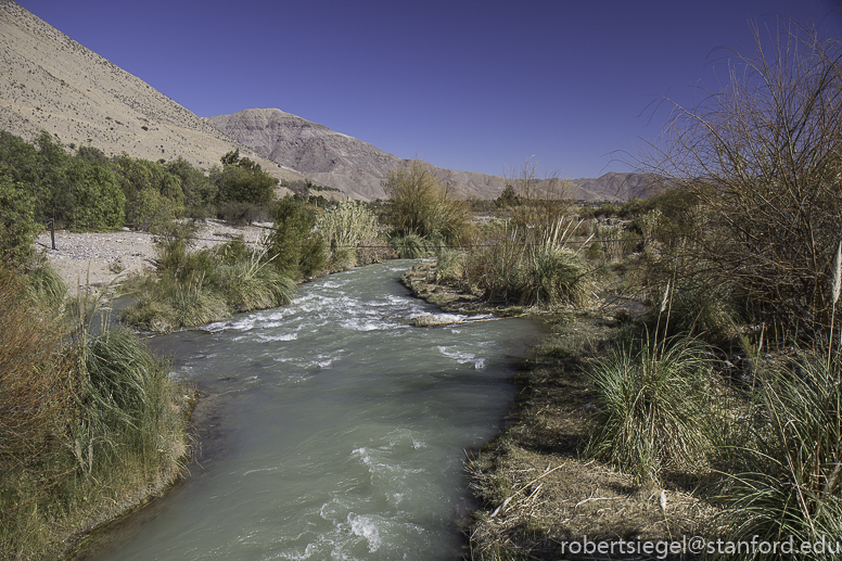 elqui